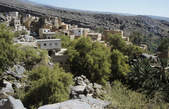 tkf003_348803