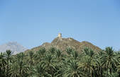 tkf003_348806
