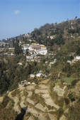 tkf003_351478