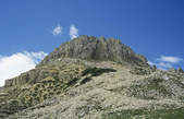 tkf003_351498