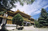 tkf003_351834