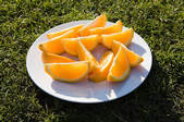 tkf003_370621