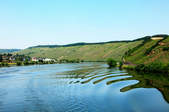 tkf003_405334