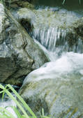 tkf003_430790