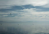 tkf003_440975