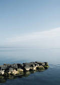 tkf003_441405