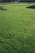 tkf003_447660