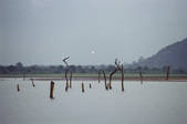 tkf003_476456