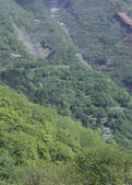 tkf003_524969