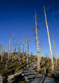 tkf003_525063