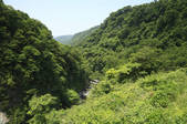 tkf003_525229