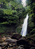 tkf003_525271