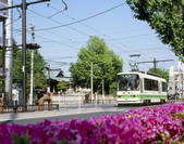 tkf003_529208