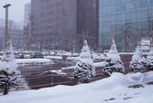 tkf003_529581