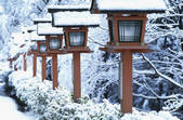 tkf003_529867