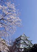 tkf003_530092
