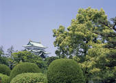 tkf003_530094