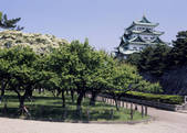 tkf003_530095
