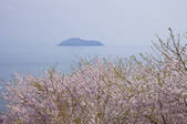 tkf003_532329
