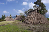 tkf003_533624