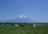 tkf003_534713