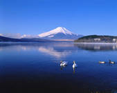 tkf003_539043