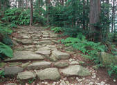 tkf003_539973