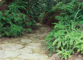 tkf003_539974