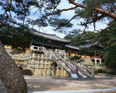 tkf003_542148