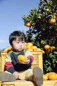 tkf003_544791
