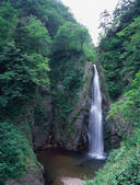 tkf003_546209