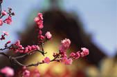 tkf003_546492