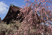 tkf003_546576