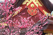 tkf003_546577
