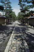 tkf003_546584