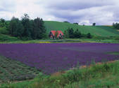 tkf003_551404