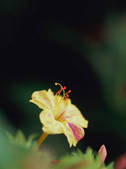 tkf003_552389