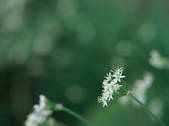 tkf003_552610