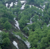 tkf003_554711