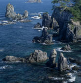 tkf003_555051