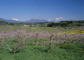 tkf003_556916