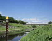 tkf003_556923