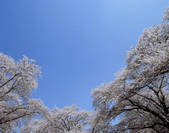 tkf003_556929