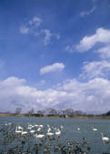tkf003_556937