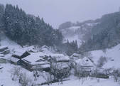 tkf003_556938