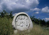 tkf003_556948