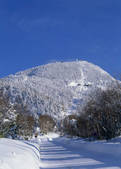 tkf003_556954
