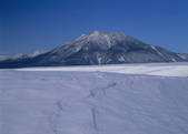 tkf003_556957