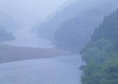 tkf003_556979
