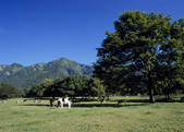 tkf003_556980
